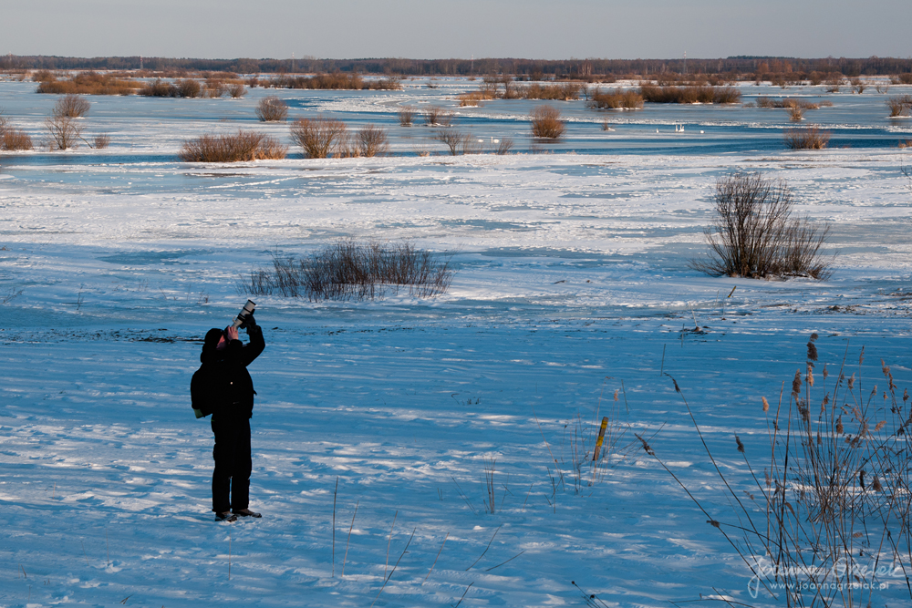 044_Biebrza - marzec 2013.jpg